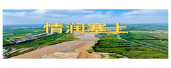 微纪录片｜情润塞上