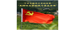 “发挥好支部的战斗堡垒作用”