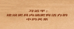 【讲习所·中国与世界】习近平：建设更具内涵更有活力的中约关系