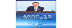 学习新语｜“上海精神”引领上合组织行稳致远