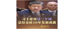 拾光纪·习主席用这三个词总结金砖20年发展成就