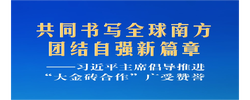 习近平主席倡导推进“大金砖合作”广受赞誉