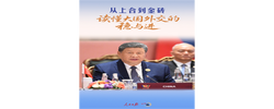 一见·从上合到金砖，读懂大国外交的稳与进