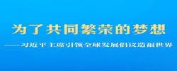习近平主席引领全球发展倡议造福世界