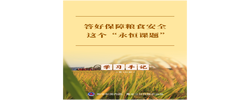 学习手记｜答好保障粮食安全这个“永恒课题”