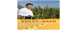 学习新语｜跟着总书记一起话丰收