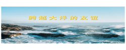 微视频｜跨越大洋的友谊