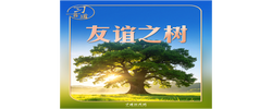 习言道｜在白宫，习近平提到了一棵树和一片林