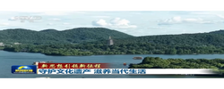 新思想引领新征程丨守护文化遗产 滋养当代生活