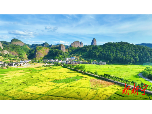 怀化市中国画学会走进崀山采风写生
