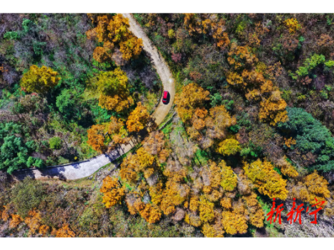 新宁：初冬私语 金色瑶乡