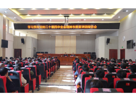 学习贯彻党的二十届四中全会精神市委宣讲团报告会在新宁举行