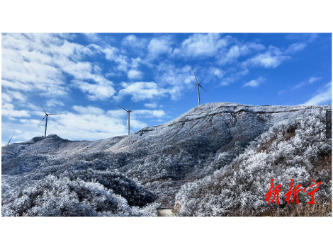 新宁瑶山：今冬首场雾凇惊艳绽放