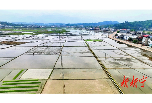 机械化跑出春耕“加速度”