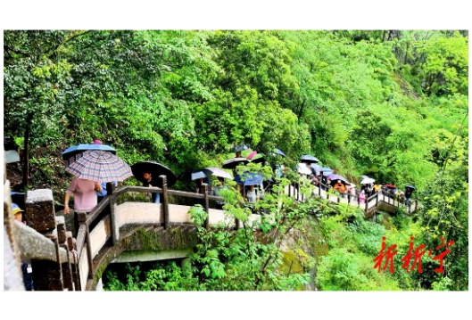 新宁迎来千人团游崀山赏橙花