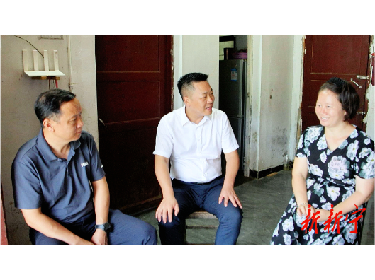 杨云龙到乡镇督导调研乡村振兴工作