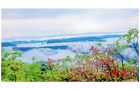 迎国庆——湘桂交界山野民宿受青睐