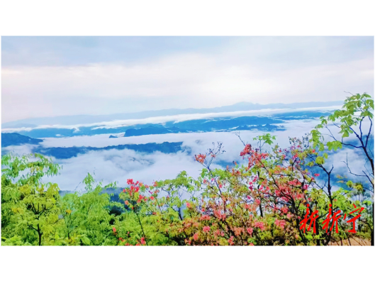 迎国庆——湘桂交界山野民宿受青睐