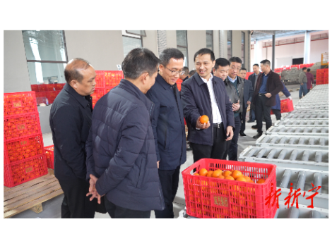 邓涛调研县乡村振兴冷链物流建设