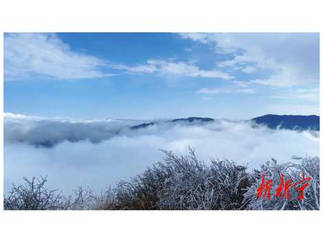 新宁金紫岭：雾凇云海美 农庄鲜味足