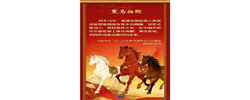 学习新语丨总书记的马年祝福