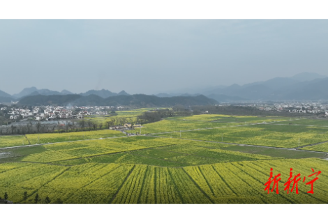 崀山：万亩油菜花开引客来