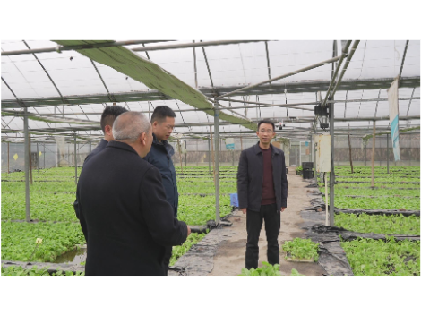 彭洪兵到乡镇调研指导烤烟生产、重点项目建设等工作