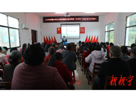 新宁县开展家庭教育指导服务“向阳花”行动