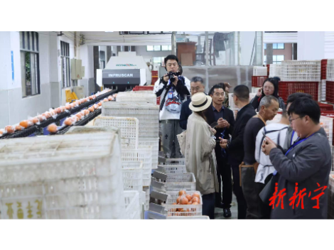 26位网络名人访橙乡 新宁乡村振兴引关注