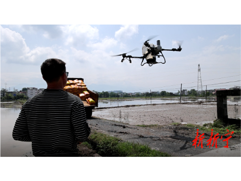 日省20余人工 智能农机助力新宁15.7万亩早稻栽种