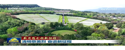【新思想引领新征程】清明祭英烈 奋进新征程