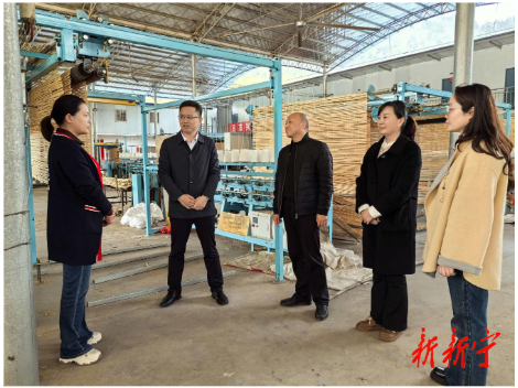 曾明辉到黄金、麻林调研