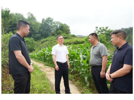 邓涛督导检查安全生产风险隐患大排查大整治工作