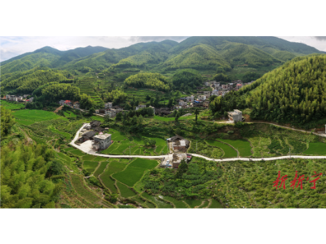 400亩瑶乡金花遍地开 农旅融合助民增收