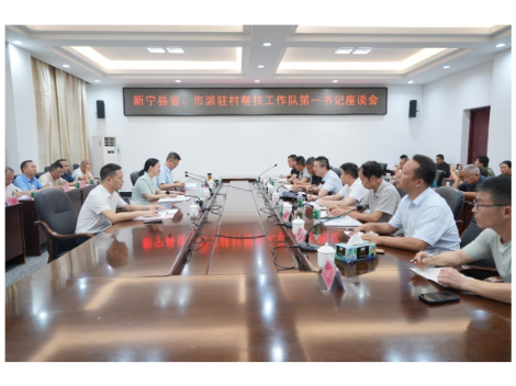 新宁县省、市派驻村帮扶工作队第一书记座谈会召开