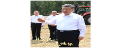 总书记的人民情怀丨“努力提升粮食能源资源安全保障能力”