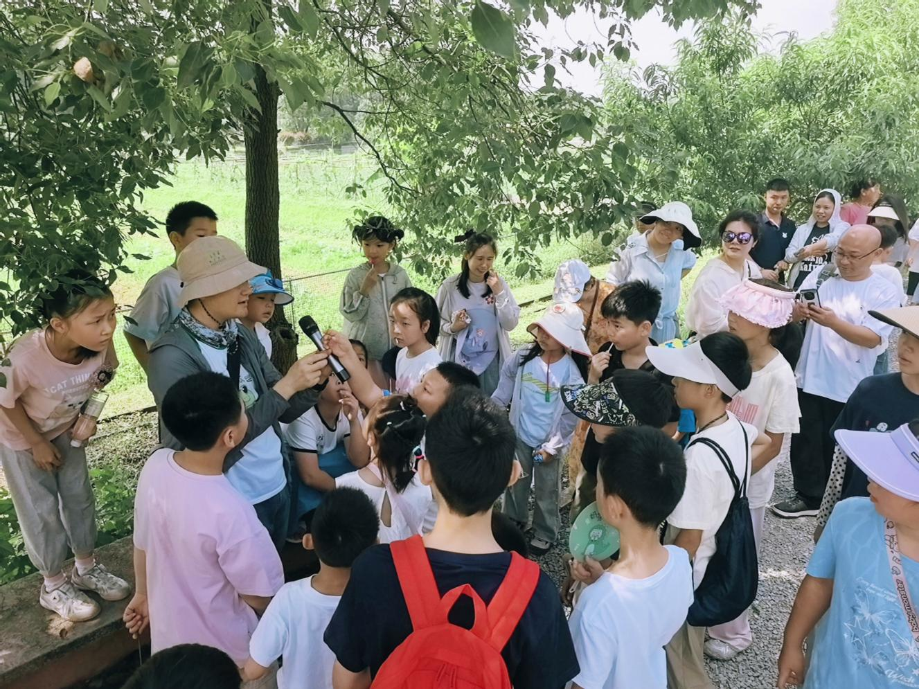 图片1(4).png 图片1(4).png