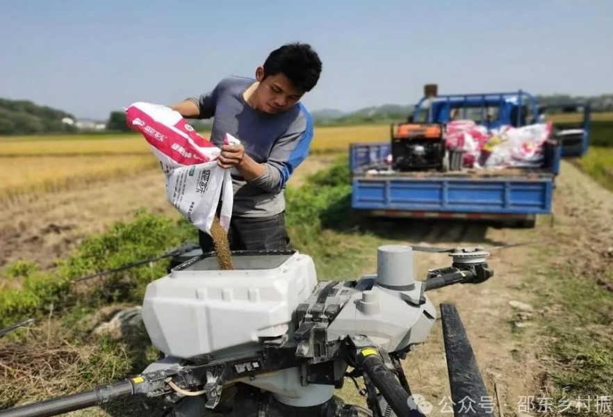 邵东：推广绿肥种植 助力耕地质量提升