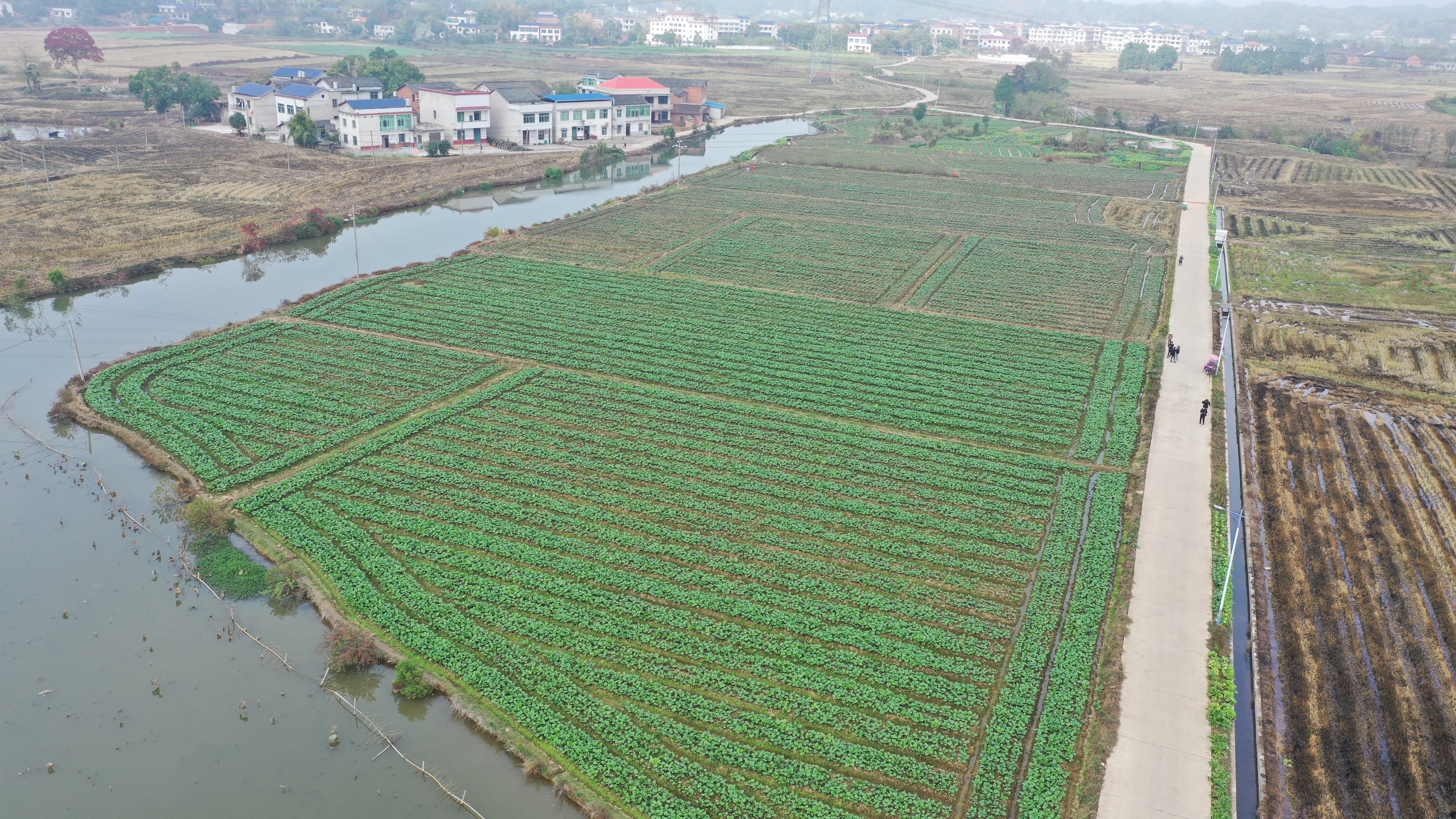 DJI_0472.JPG