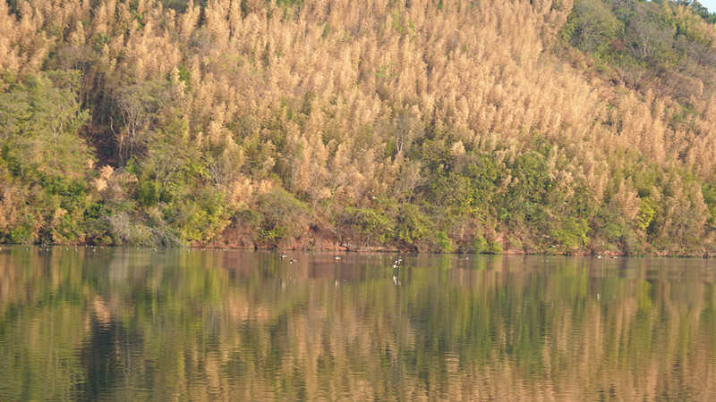 DSC08091_副本.jpg