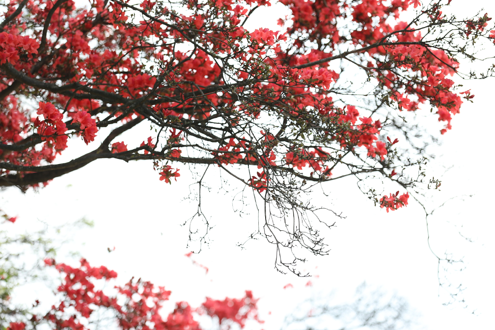 1649839748(1).png