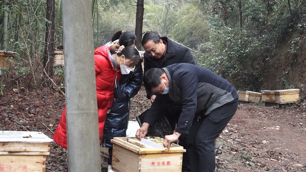 【代表风采】周秋群：探索产业发展“新路子” 书写乡村振兴“大文章”3.jpg