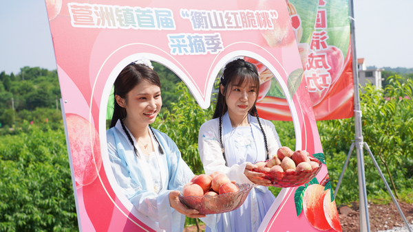 红脆桃满枝头 果农甜在心头2小.png