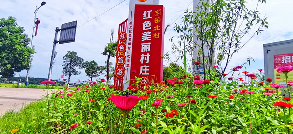 【标准化 新变化】白果镇岳北村:车在路上走,人在画里游2.jpg 【标准化 新变化】白果镇岳北村:车在路上走,人在画里游2.jpg
