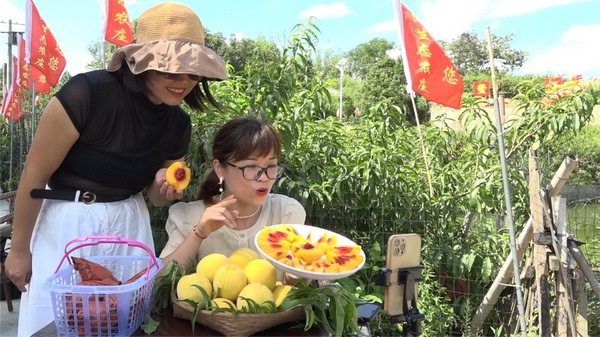 黄桃2.jpg