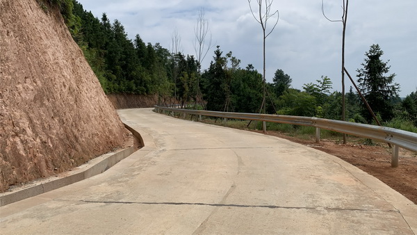 自行车2.jpg