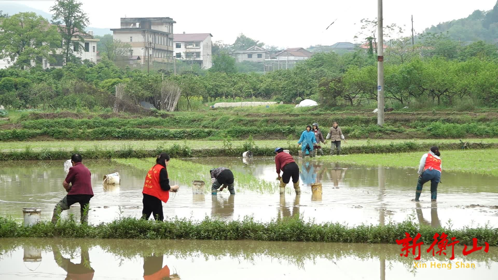 东风社区开展助农春耕志愿服务活动