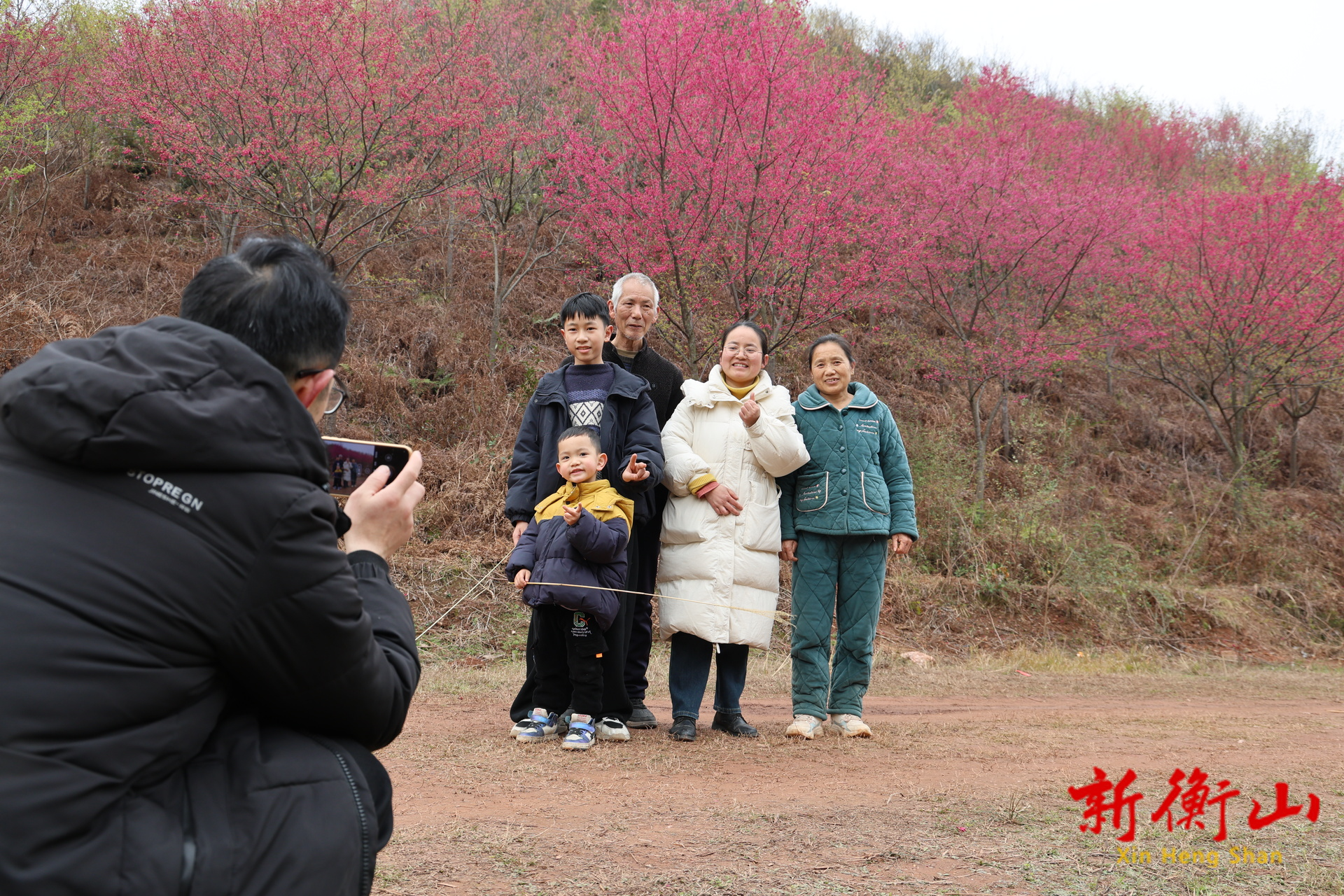 衡山县：樱花盛放 春游踏青正当时