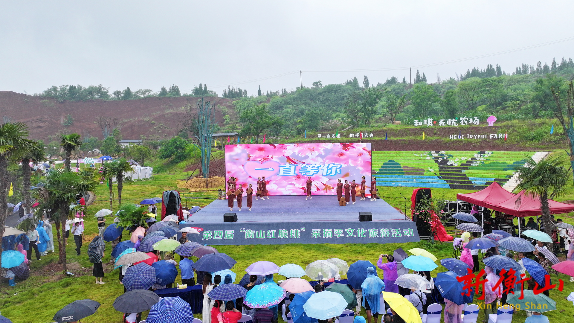衡山县第四届 “衡山红脆桃” 采摘季文化旅游活动启动