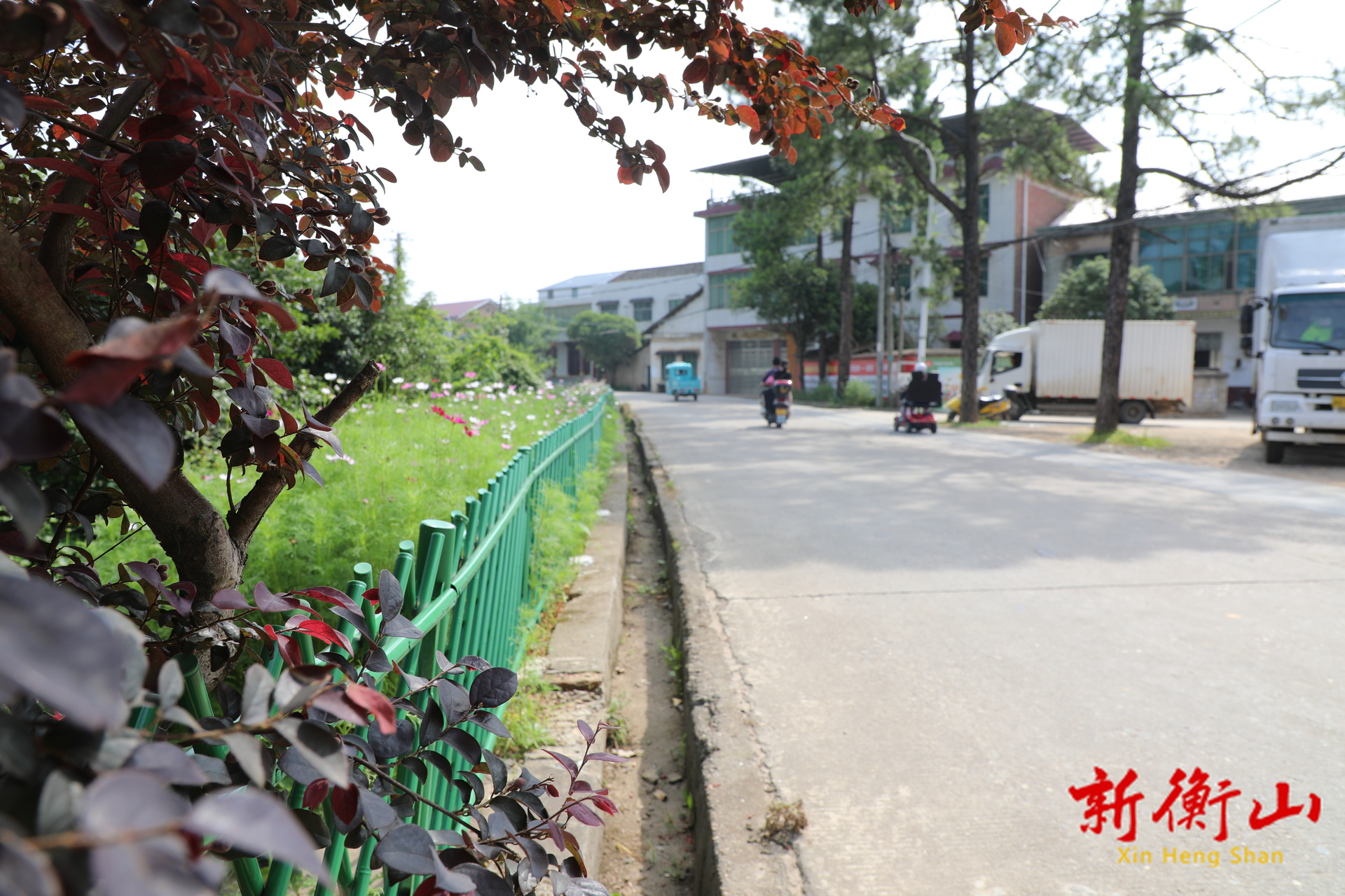 开云镇：东风路“颜值”焕新 为旅发大会添彩赋能